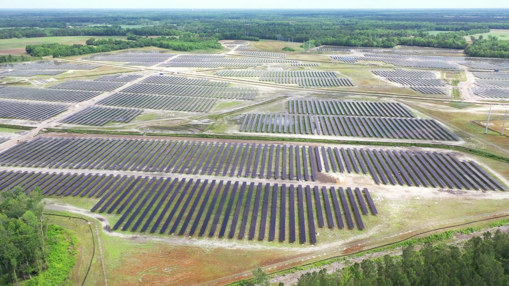 Palmetto Plains Aerial_Images_(2019-05-11)_43